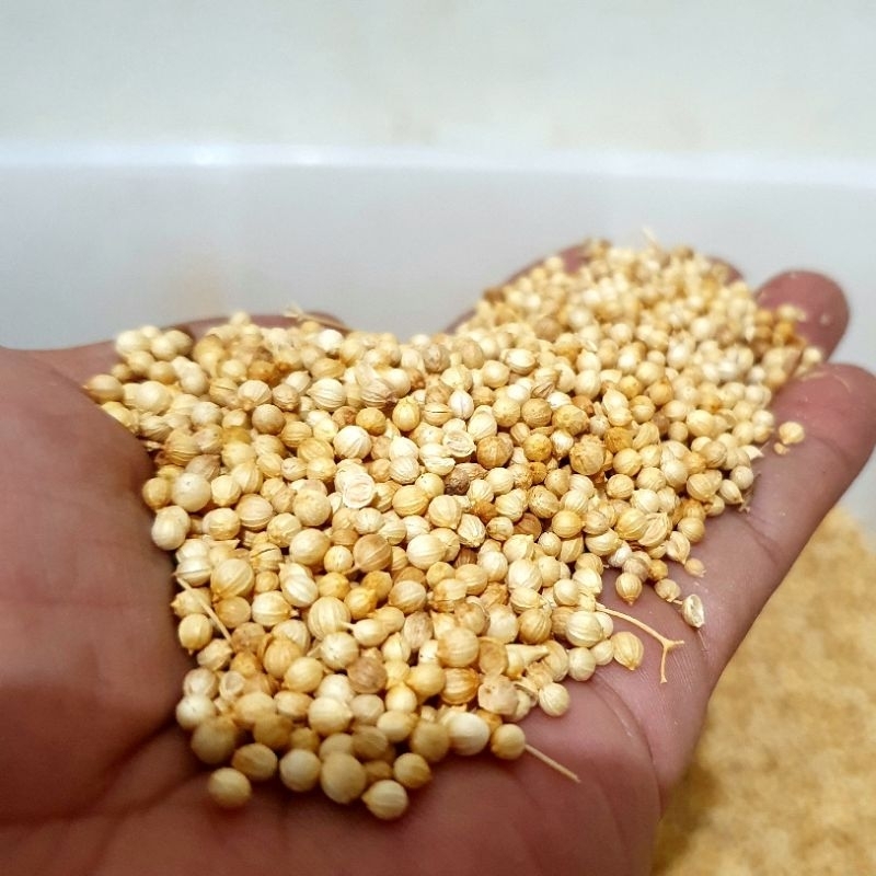 

Ketumbar Kuning 250 Gram
