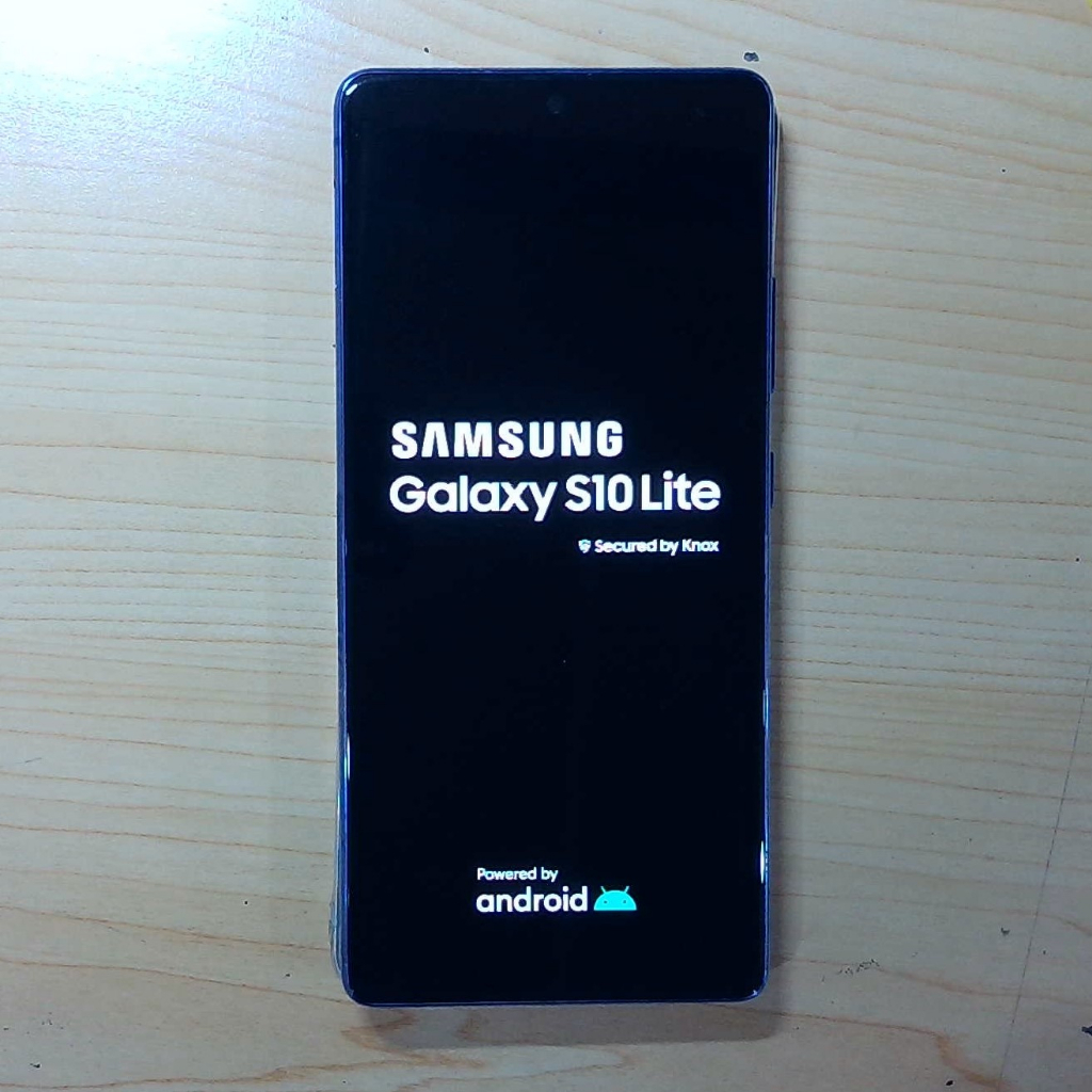 LCD SAMSUNG S10 LITE (G770) ORIGINAL COPOTAN