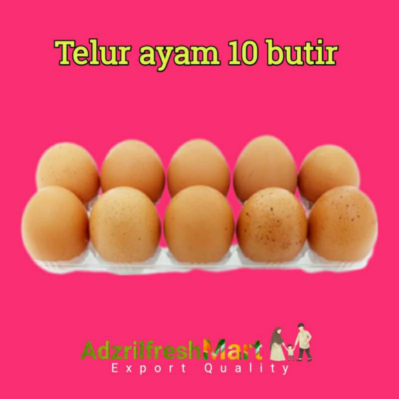 

TELUR AYAM 10 BUTIR
