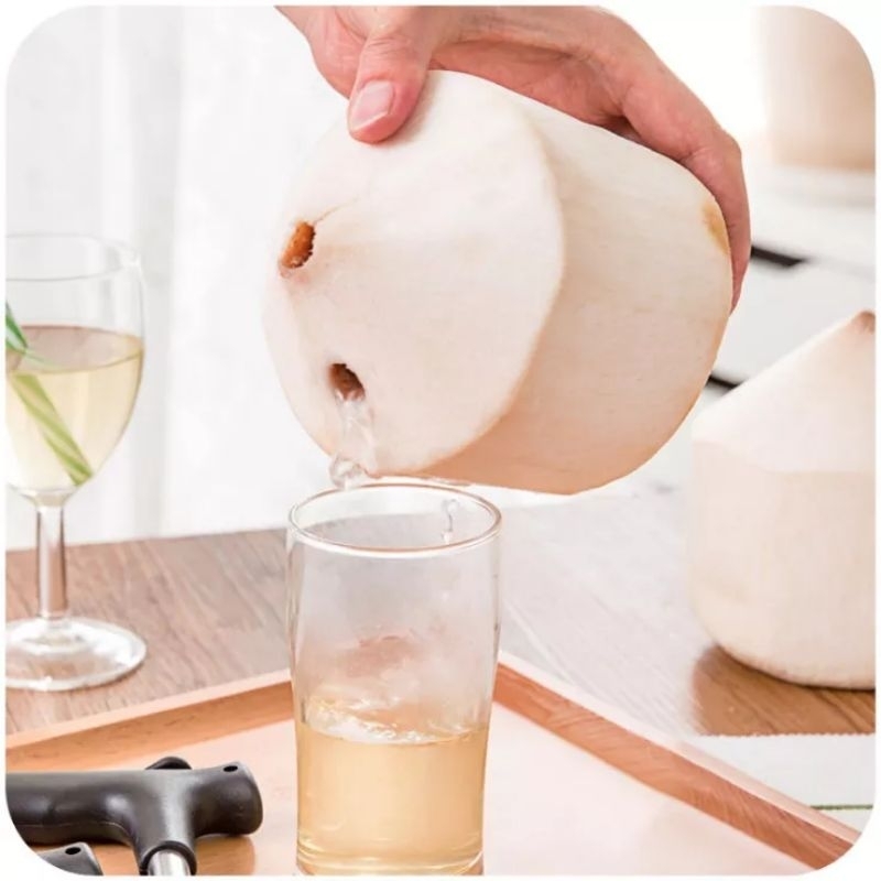 

Pembolong Batok Kelapa Alat Pembuka Coconut Opener Stainless