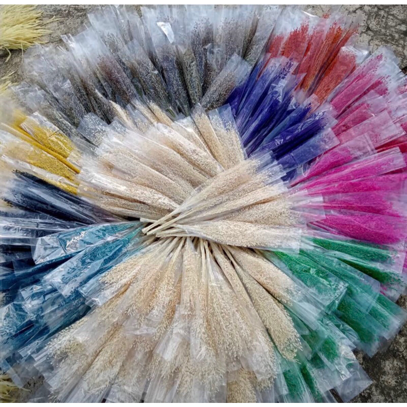 GROSIR 20pcs Hiasan Buket Bunga springkel Natural Dried Untuk Dekorasi Bunga Kering Dekorasi Rustic 