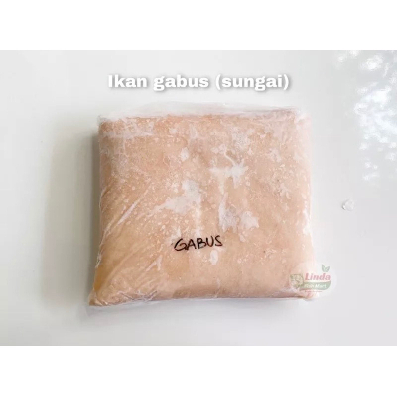 

Ikan Giling Gabus Sungai (asli gabus palembang)