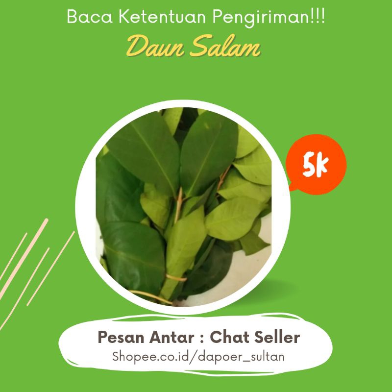 

CIBIRU ✨ DAUN SALAM IKAT KECIL✨