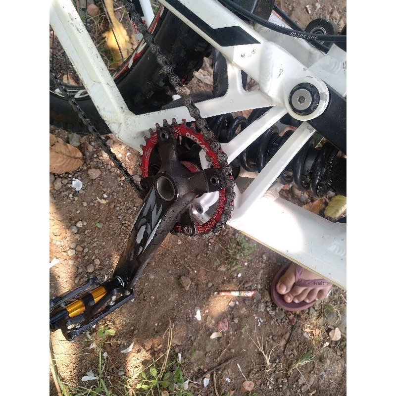 Polygon Collosus DH 2