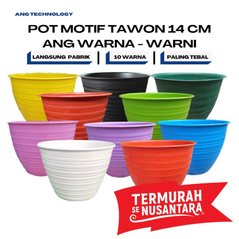 Pot Bunga Tawon Putih 14 cm WARNA - WARNI ANG Tanaman Termurah se-Indonesia