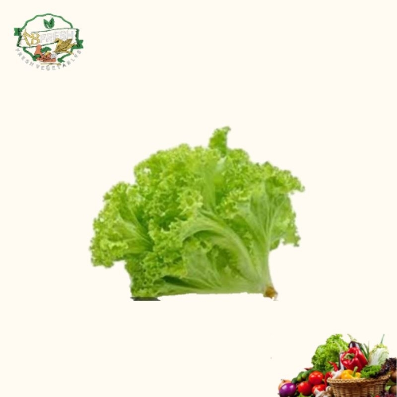 

salad 500gr