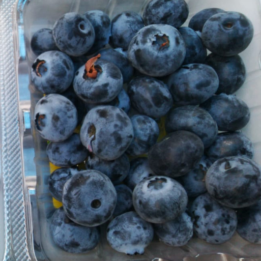 

BLUEBERRY