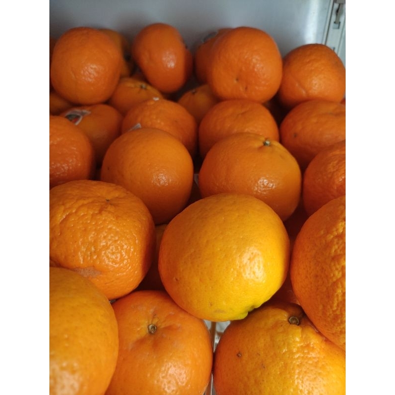 

Jeruk Honey Murcot 1kg