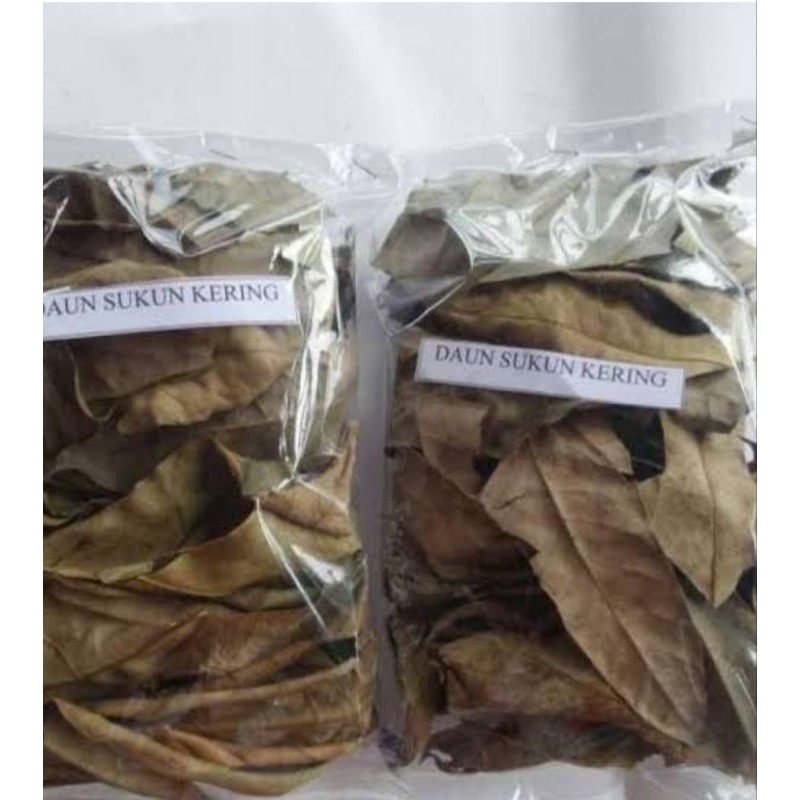 

Daun sukun kering asli dan organik berat 100g untuk obat herbal