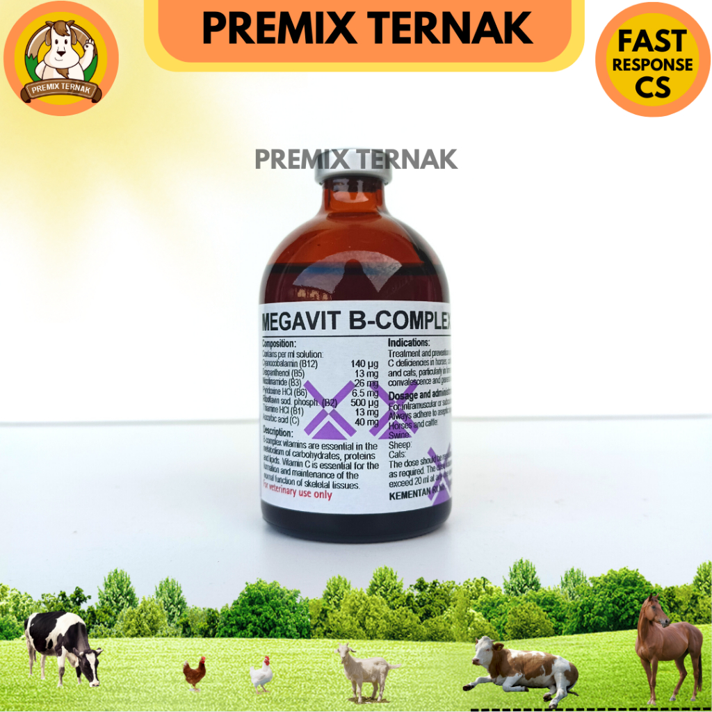 MEGAVIT B COMPLEX + VITAMIN C INJEKSI 100 ML