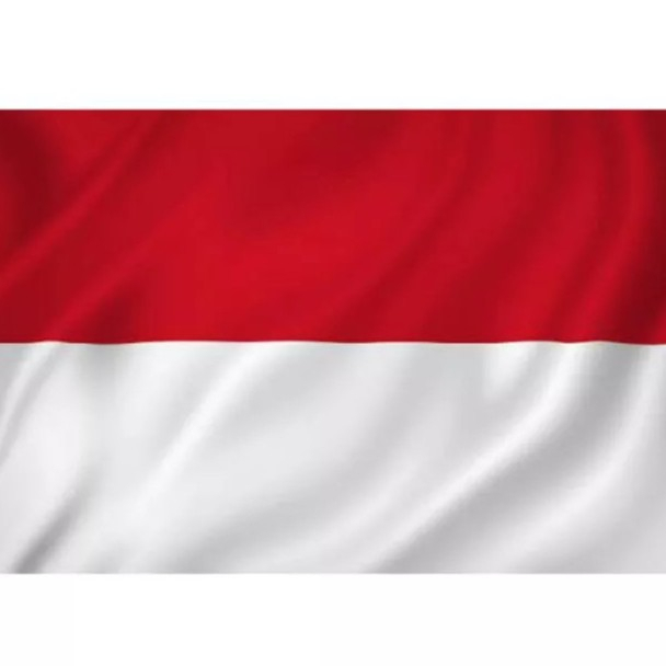 Bendera Indonesia Merah Putih / Bendera Hut Ri / Bendera Merah Putih / Bendera Tangan Indonesia / Festival Ind Flag