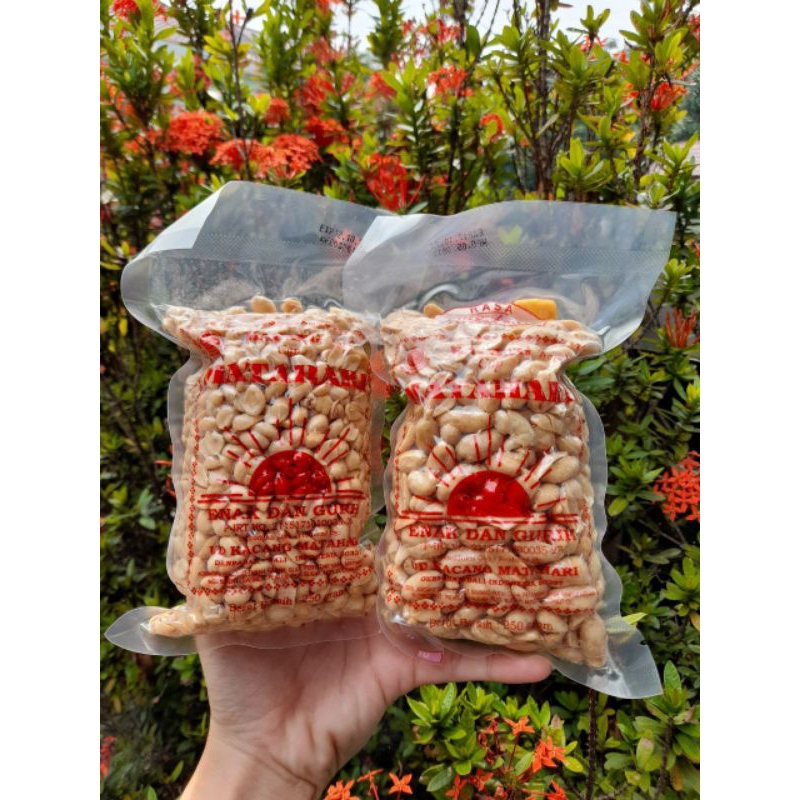 

KACANG MATAHARI ASLI BALI