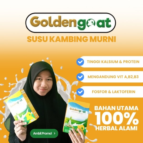 

PROMO 2 BOX Susu Kambing Etawa GoldenGoat Isi 200 gram
