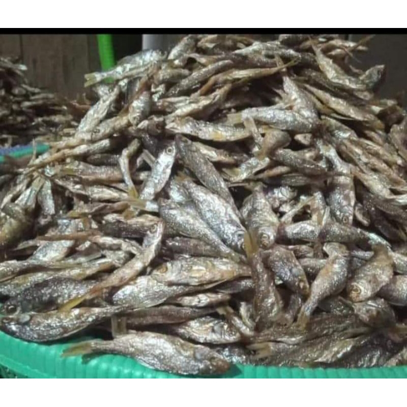 

ikan bilih asli Singkarak