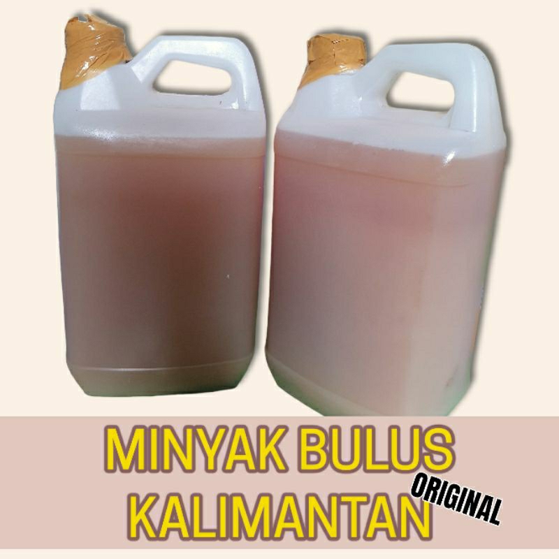 Minyak bulus asli murni literan perliter