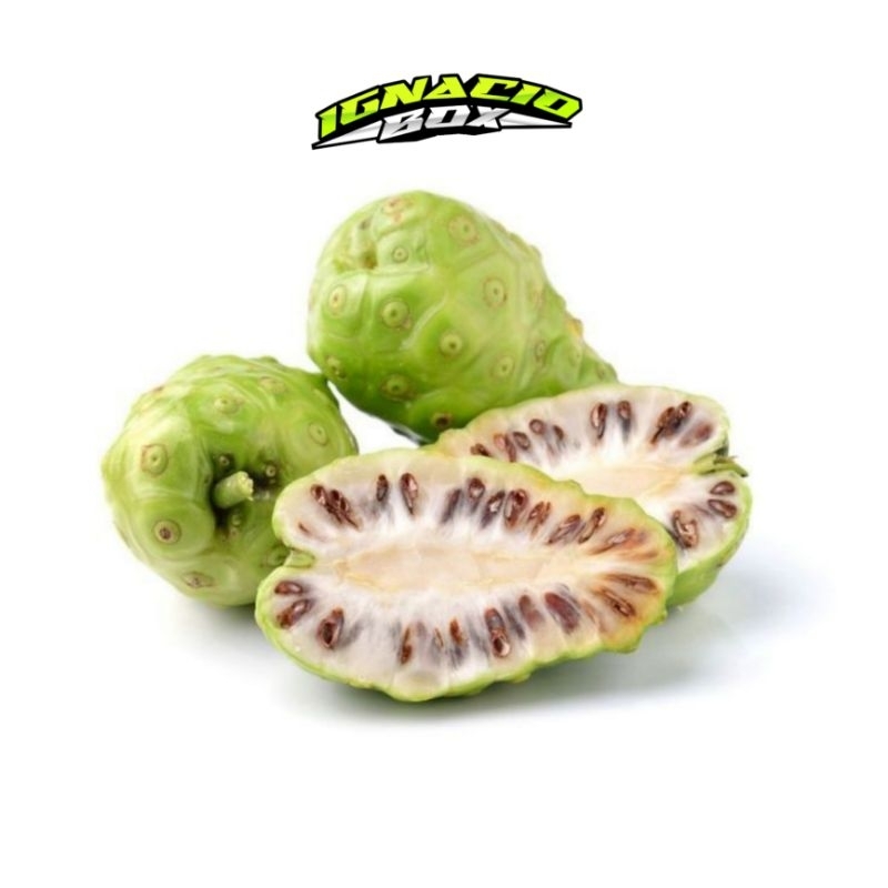 

Buah Mengkudu IgnacioBox