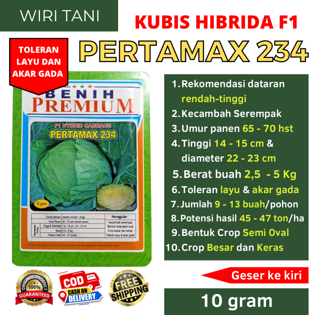 [COD] Benih Kubis Jumbo Pertamax 234 (Pertumbuhan Maksimal) kemasan 10 gram | Setipe Green Nova, Sol