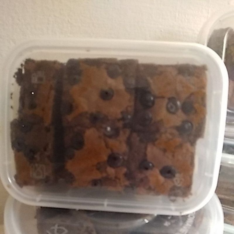 

brownies fudgy bite