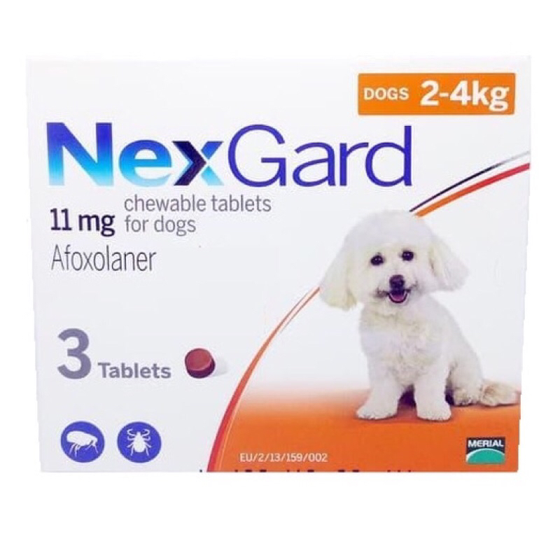 Nexgard small dog - obat kutu nexgard