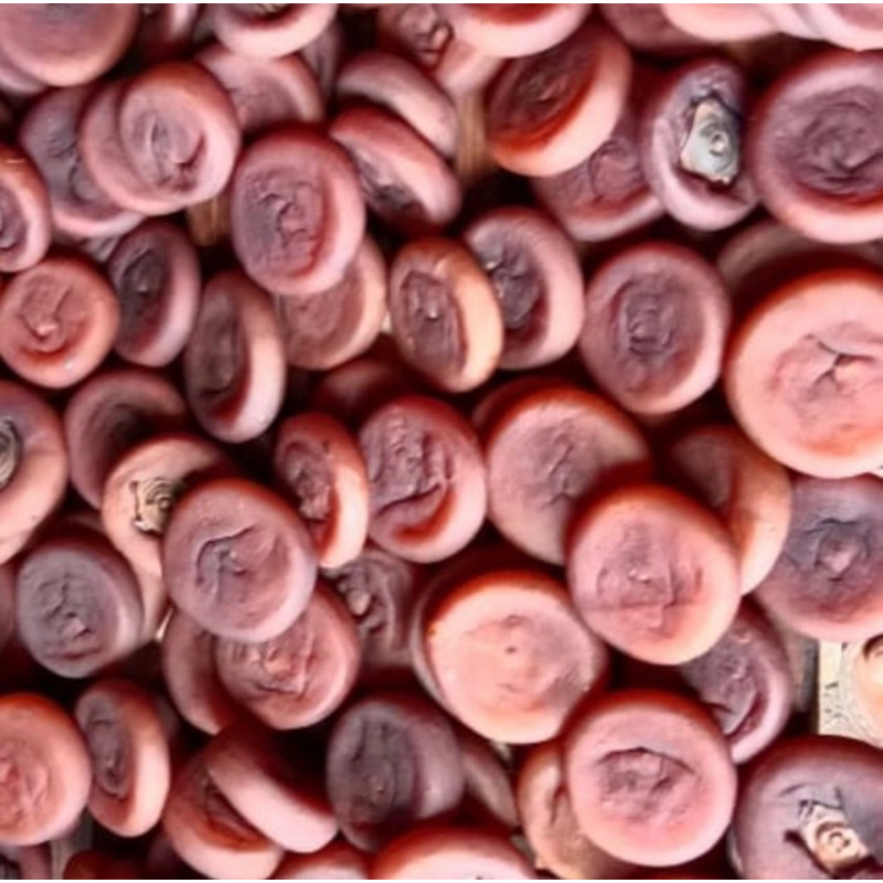 

BUAH KESEMEK KERING/BUAH PERSIMMON/BUAH GENIT BERAT 500GR