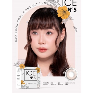 Softllens ICE N5 DIA 14.50mm BROWN MINUS (-6.50 s/d -10.00) BS