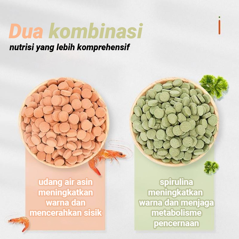 YEE MAKANAN IKAN KECIL PATCH TROPIS UMUM DAPAT MENEMPEL DIKACA AKUARIUM