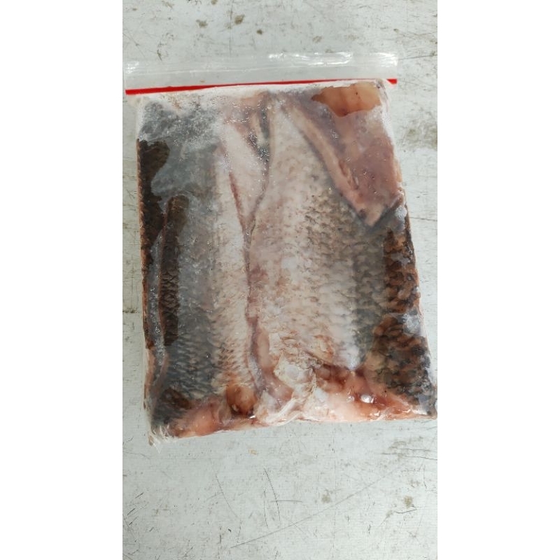 

gabus fillet kemasan 500gr/pack
