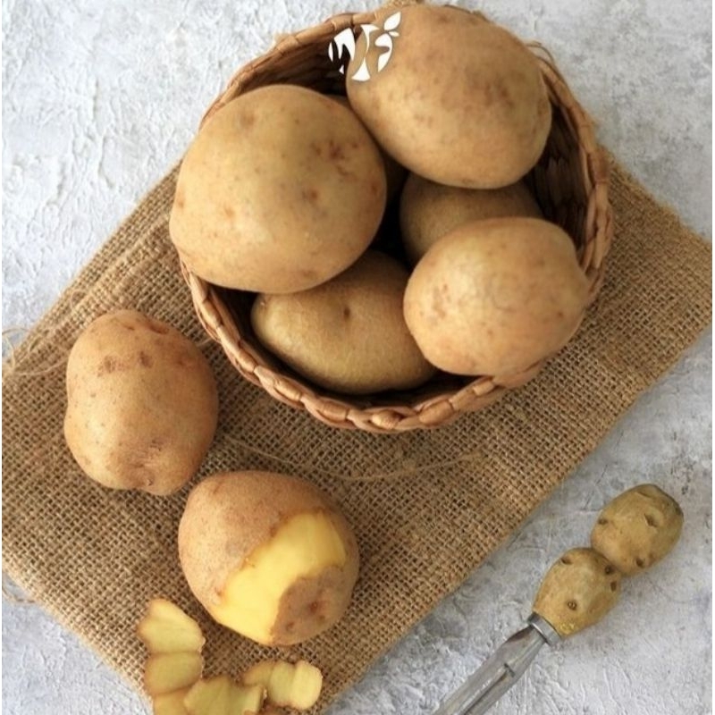 

PROMO!!! Kentang Dieng Curah Bersih Fresh Berkualitas