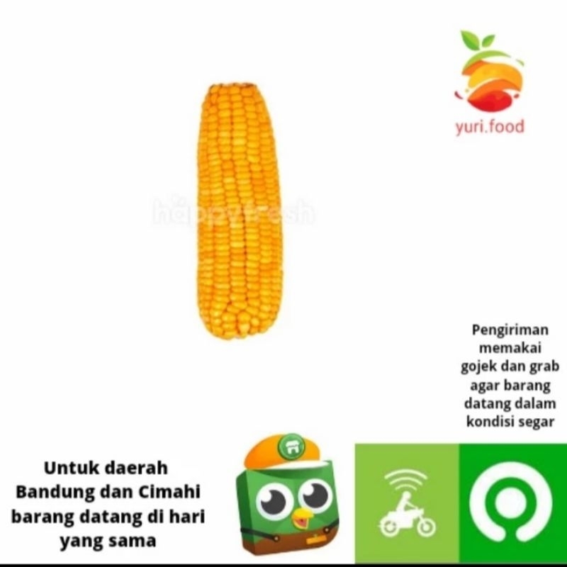 

Jagung 1 biji (berat 250gram lebih)