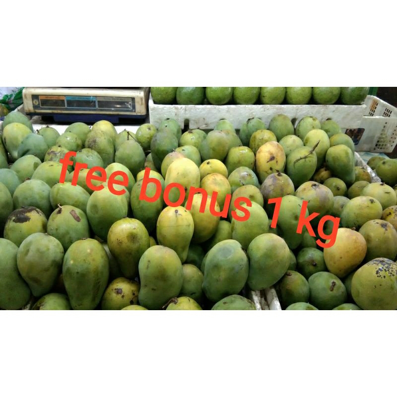 

mangga harum manis 1kg + gratis bonus