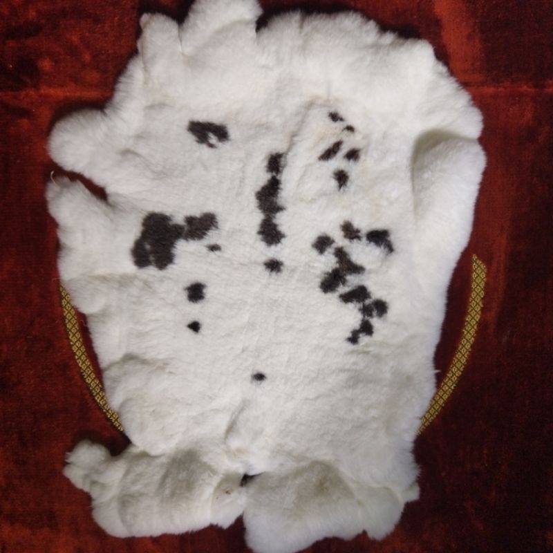 Rabbit Fur / kulit kelinci samak utuh kelinci rex, lokal, nzw