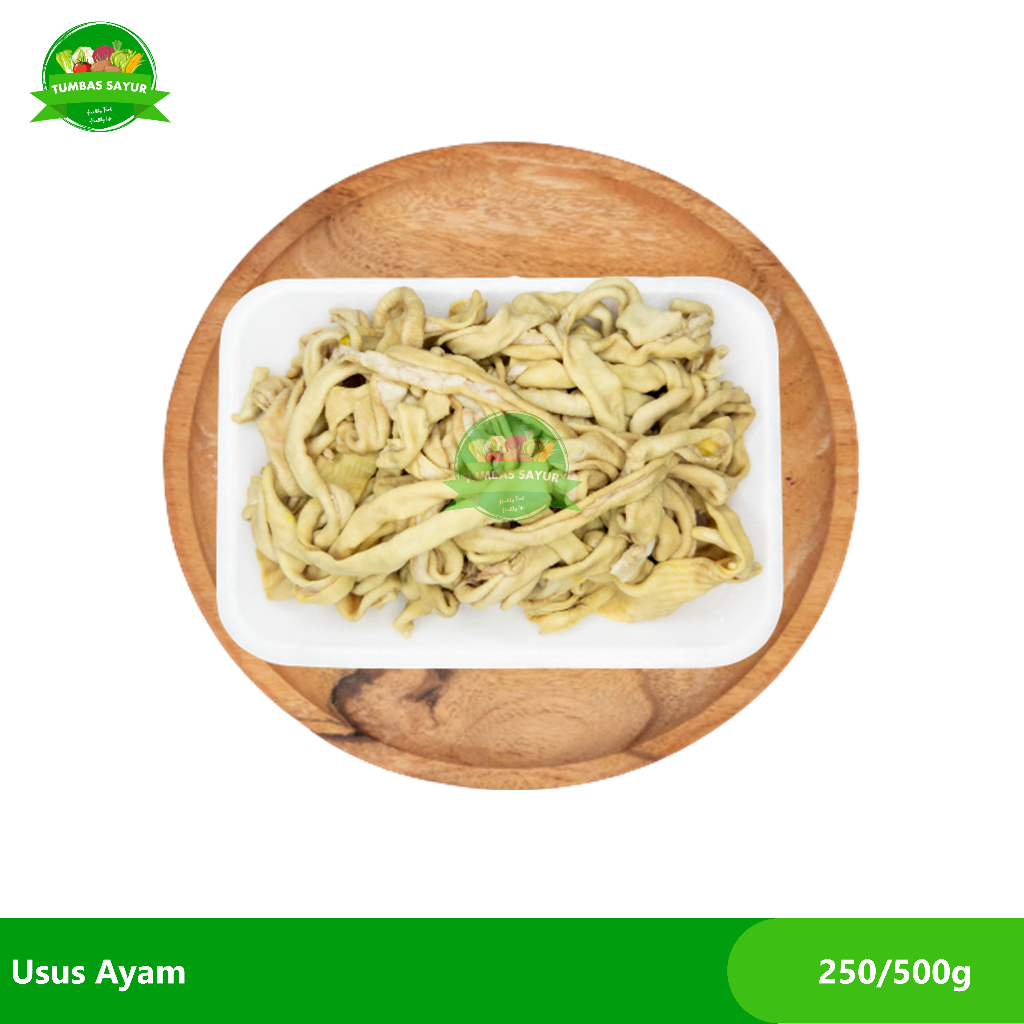 

Usus Ayam