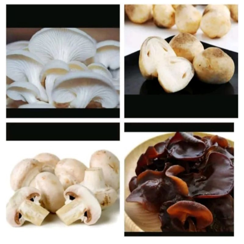 

Aneka Jamur -+250gr