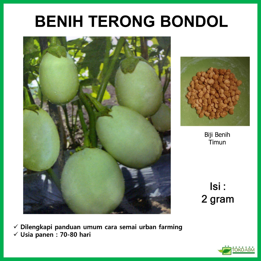Benih Sayuran Terong Bondol Hijau Kemasan Repack  Terong Pondoh Terong Kopek