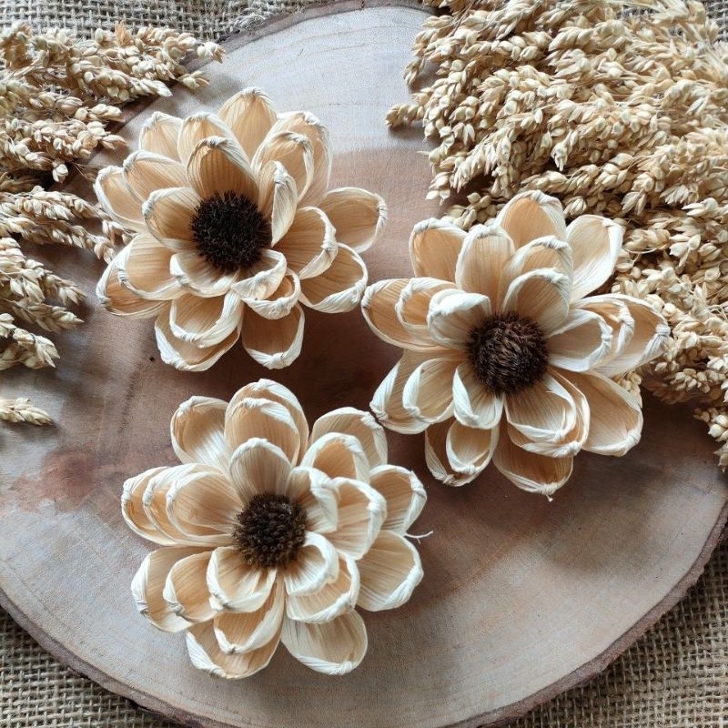 bunga klobot jagung kering