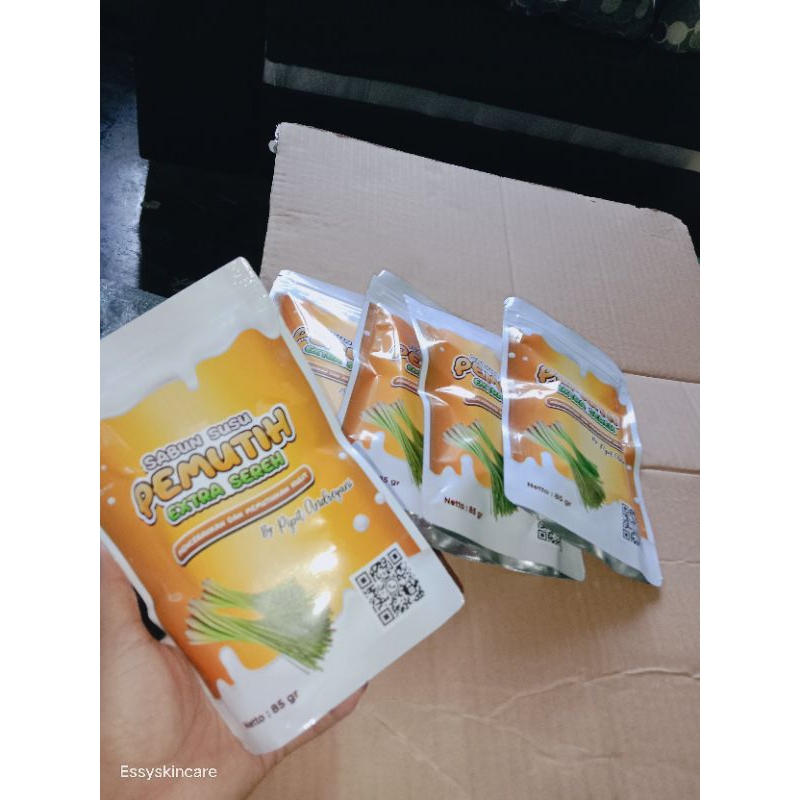 PAKET USAHA 10pcs SPS BY PIPIT ANDREYANI