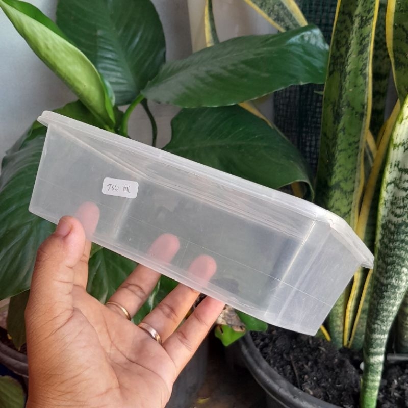 THINWALL 750 ML MICROWAVE OVEN SAFE