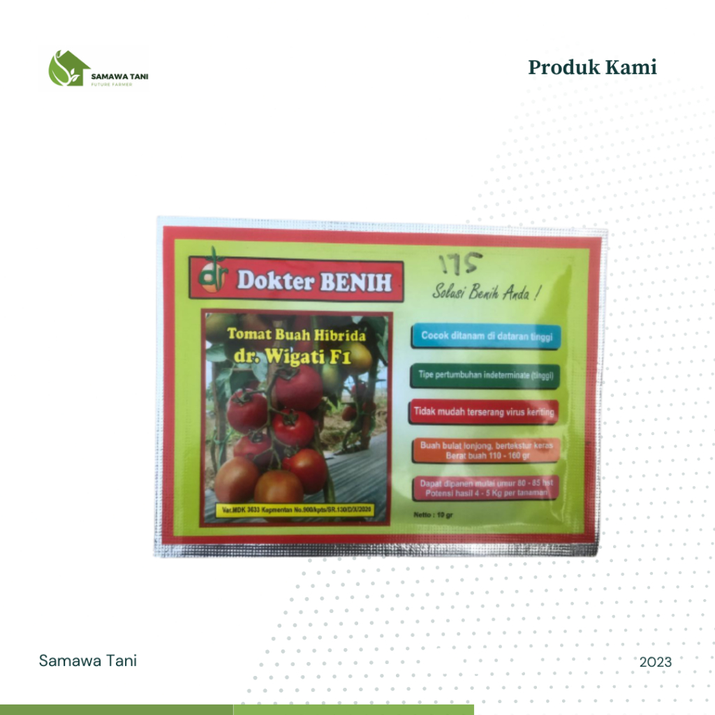 Benih Tomat Buah Hibrida dr. Wigati F1 (Cap Doker Benih)