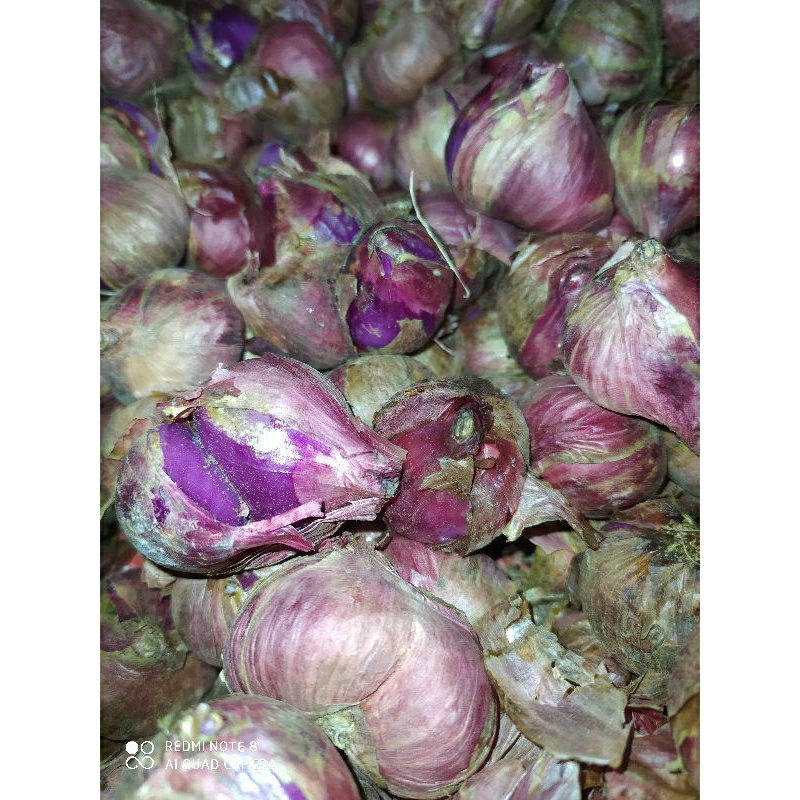 

bawang merah 1 kg