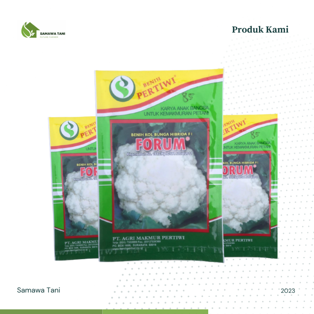 Benih Bibit Kol Bunga Hibrida F1 Forum Benih Pertiwi 10gr