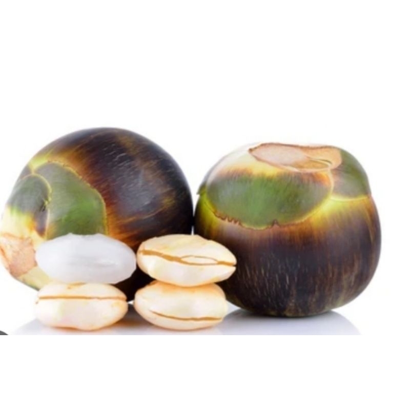 

Siwalan/ buah lontar