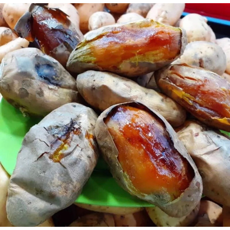 

Ubi Madu Cilembu Bakar Manis 1 Kg