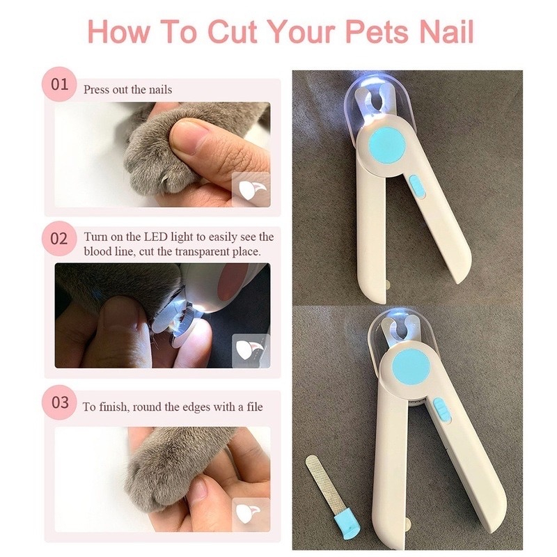 GUNTING KUKU MOTIF 11 - Gunting Kuku LED Hewan Kucing Anjing Safety Cover Pet Nail Clipper Grooming