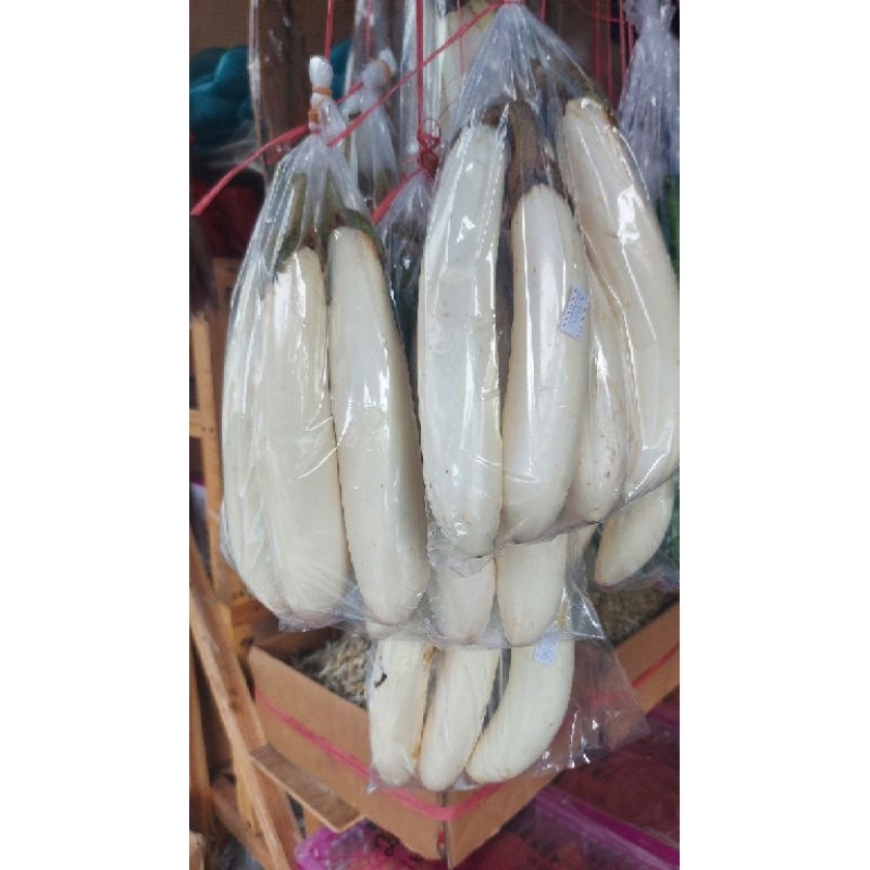 

terong putih pontianak