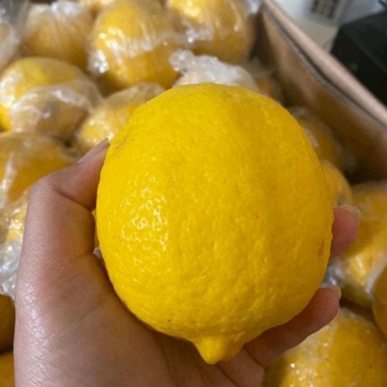 

Buah Jeruk Lemon RRC Fresh / 1 Kg