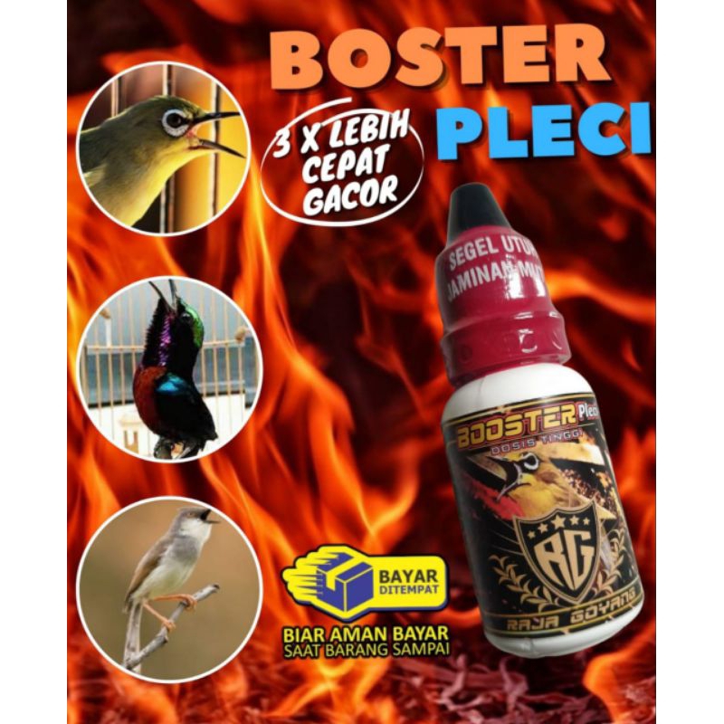vitamin penggacor burung pleci BOSTER PLECI doping burung pleci vitamin pleci dosis tinggi
