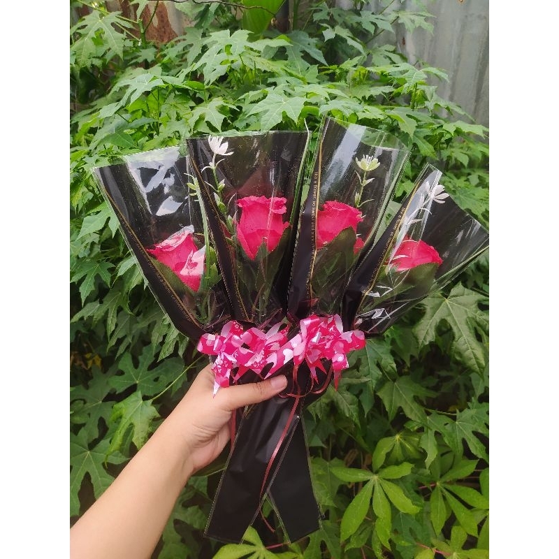 BUNGA MAWAR TANGKAI/ MAWAR HARI GUTU/MAWAR VALENTINE