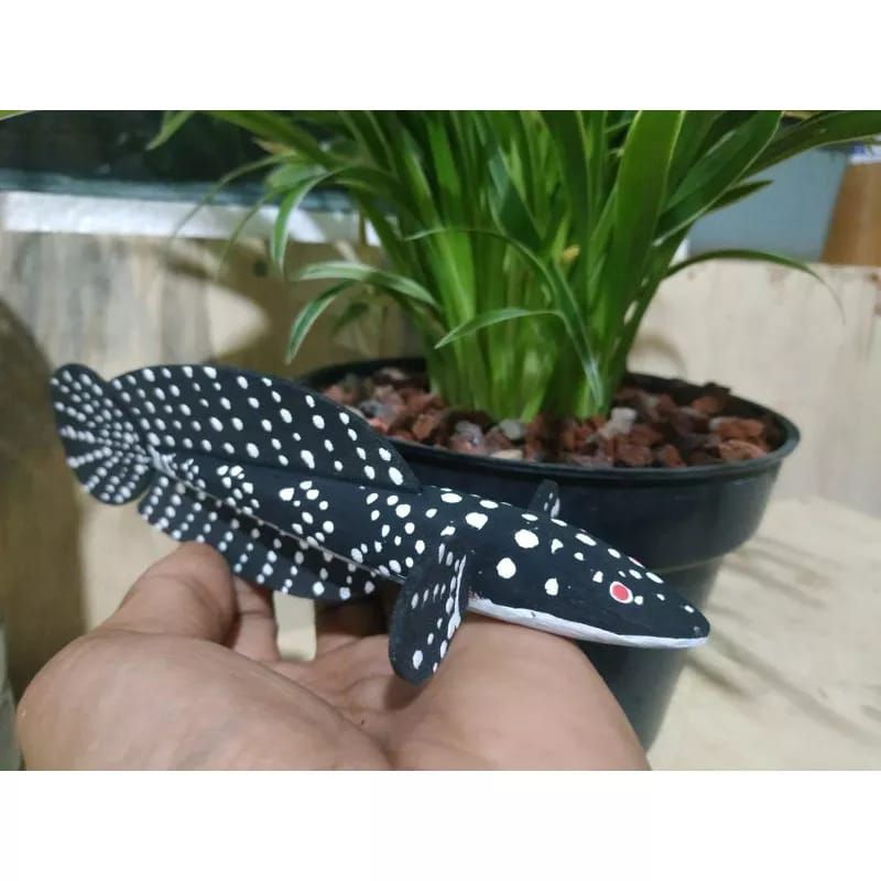 Patung Chana Asiaticha Reall produk