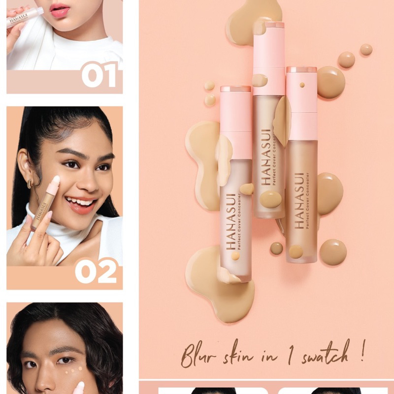 HANASUI PERFECT COVER CONCEALER