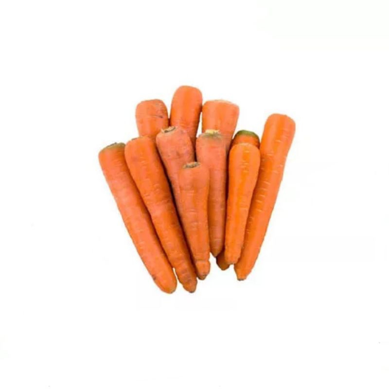 

WORTEL SEGAR 250GRAM